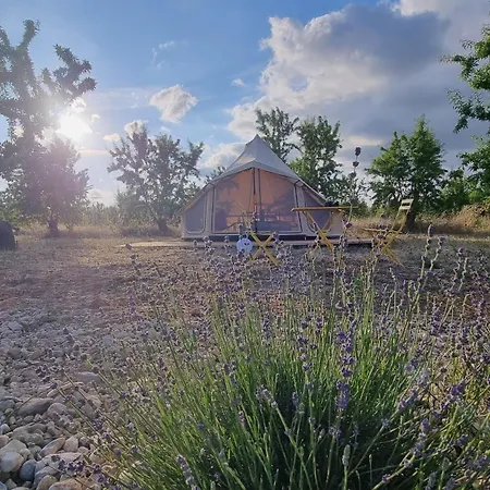 Les Lavandes Valensole Exterior photo