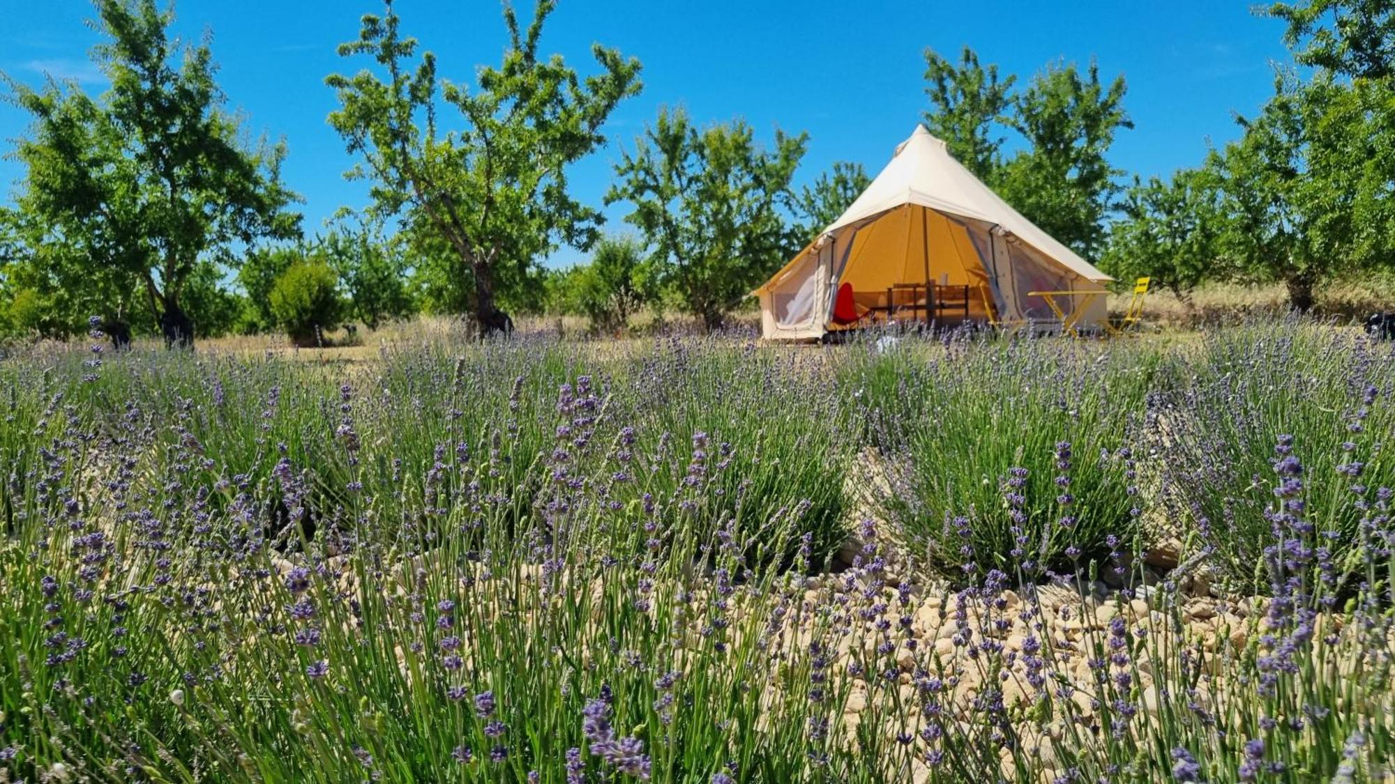 Les Lavandes Luxury tent