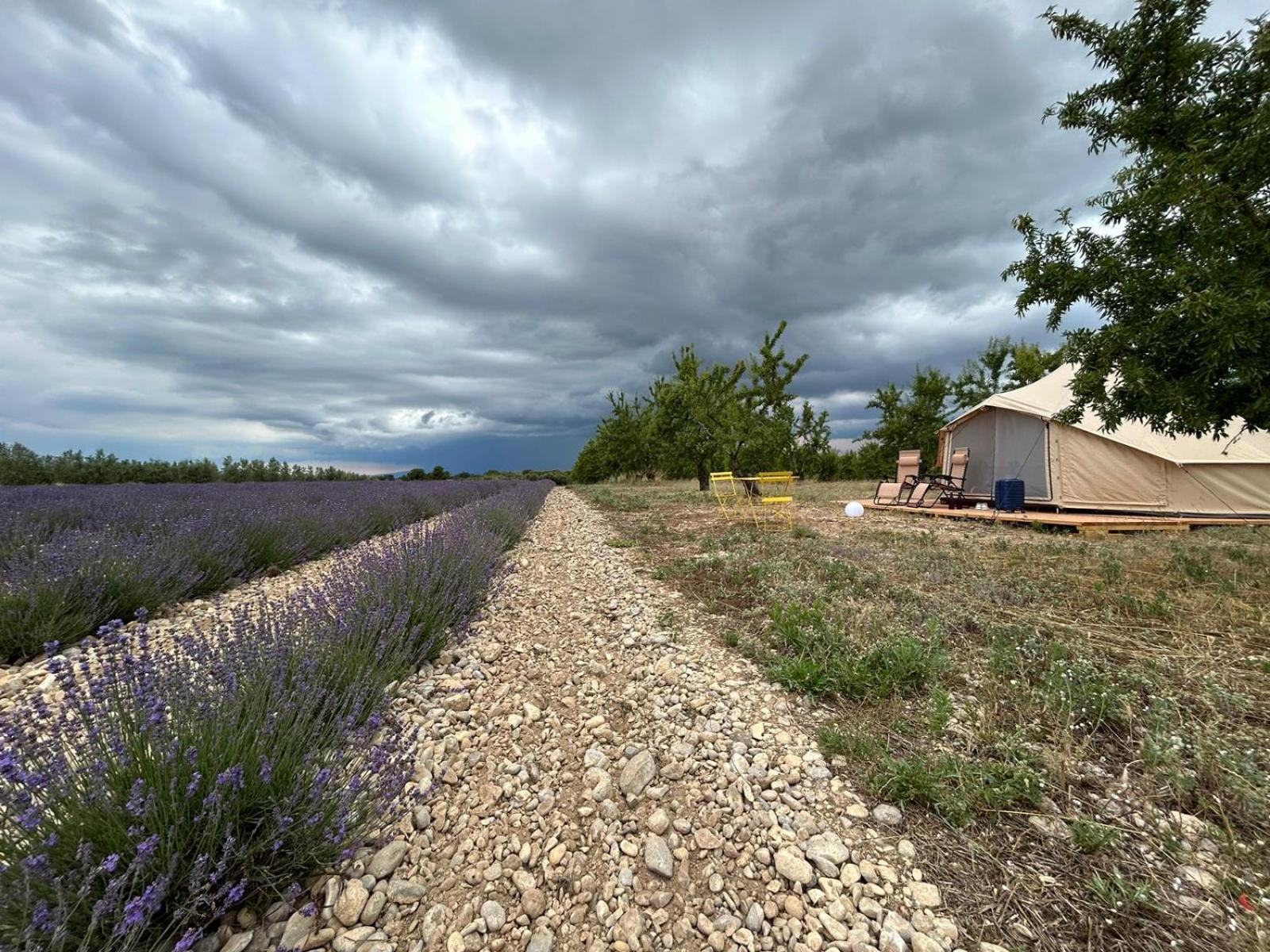 Les Lavandes Valensole