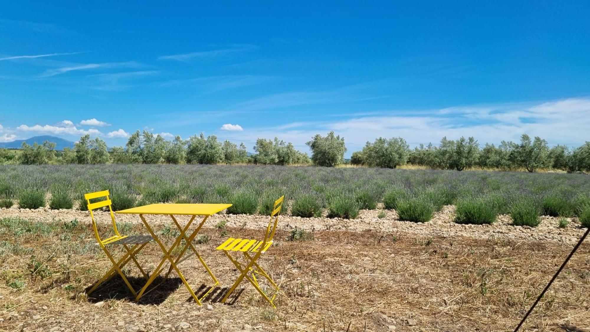Les Lavandes Luxury tent